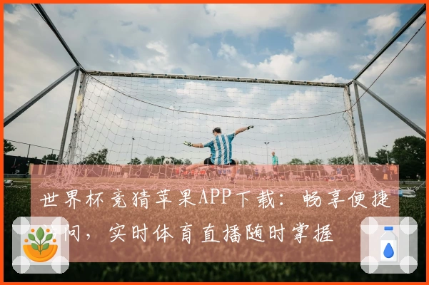 世界杯竞猜苹果APP下载：畅享便捷访问，实时体育直播随时掌握