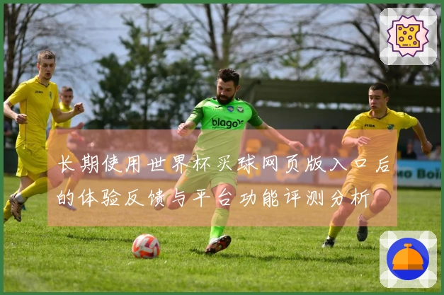 长期使用世界杯买球网页版入口后的体验反馈与平台功能评测分析