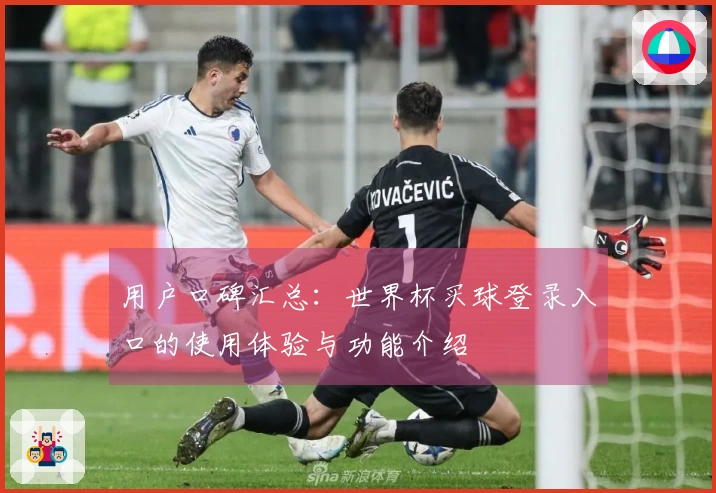 用户口碑汇总：世界杯买球登录入口的使用体验与功能介绍