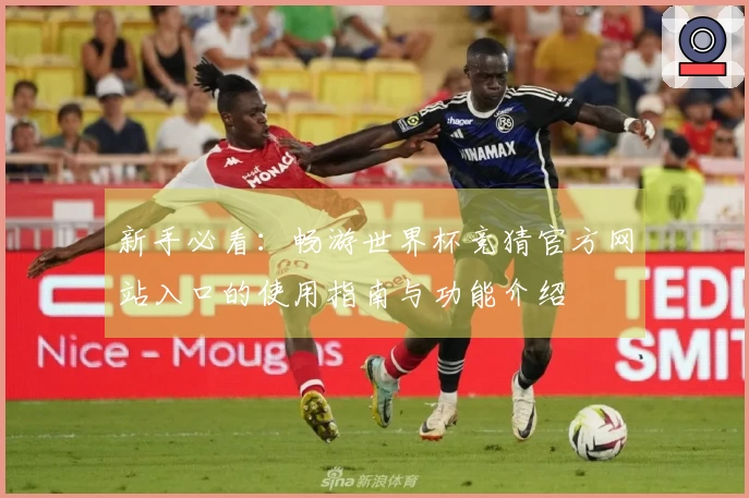 新手必看：畅游世界杯竞猜官方网站入口的使用指南与功能介绍