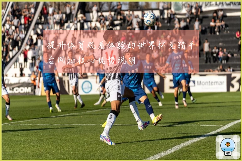 提升体育观看体验的世界杯竞猜平台网址核心优势说明